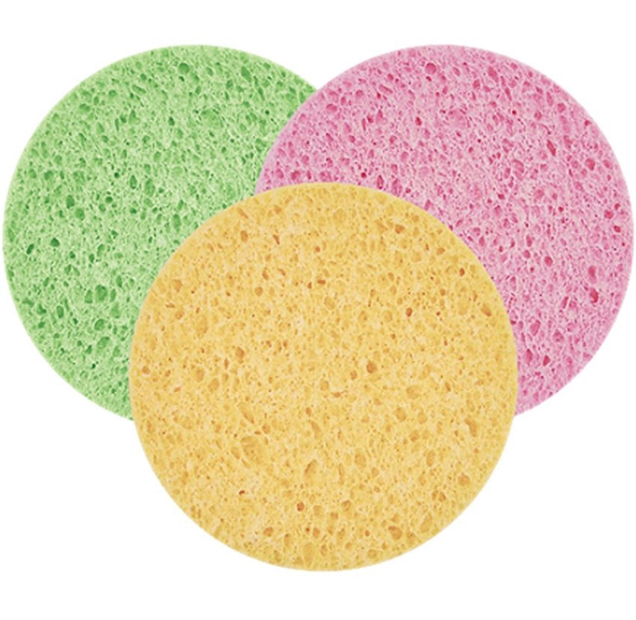 Trendy Sponge SP -1