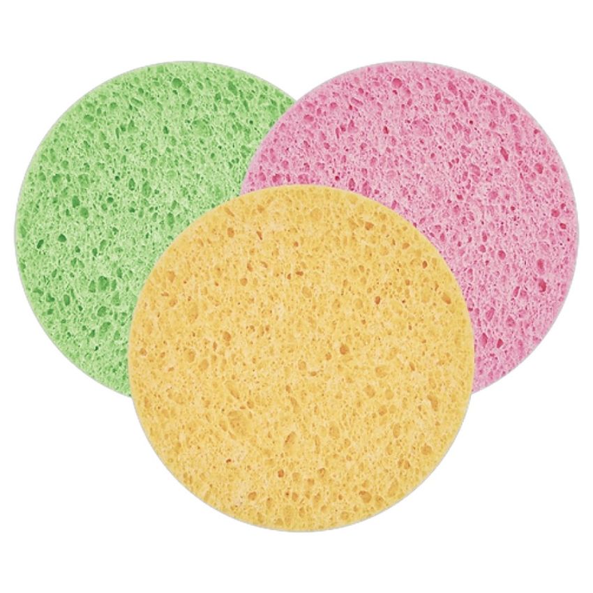 Trendy Sponge SP-4